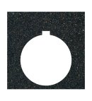 Heavy-Duty Plastic Legend Plate - 30mm 800T - Blank